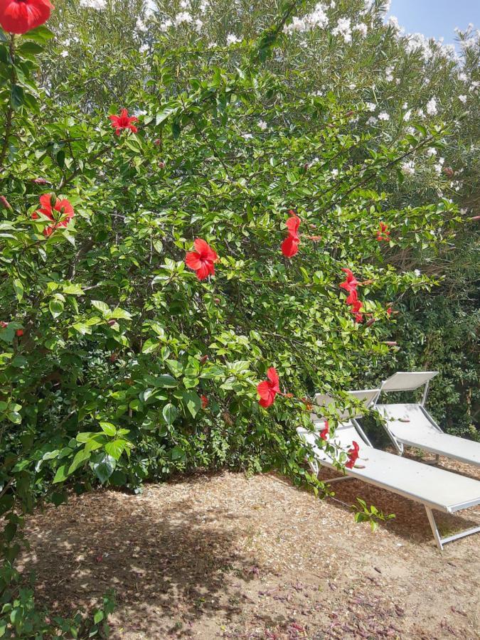 -Exclusive Private Villa- Villasimius Bagian luar foto